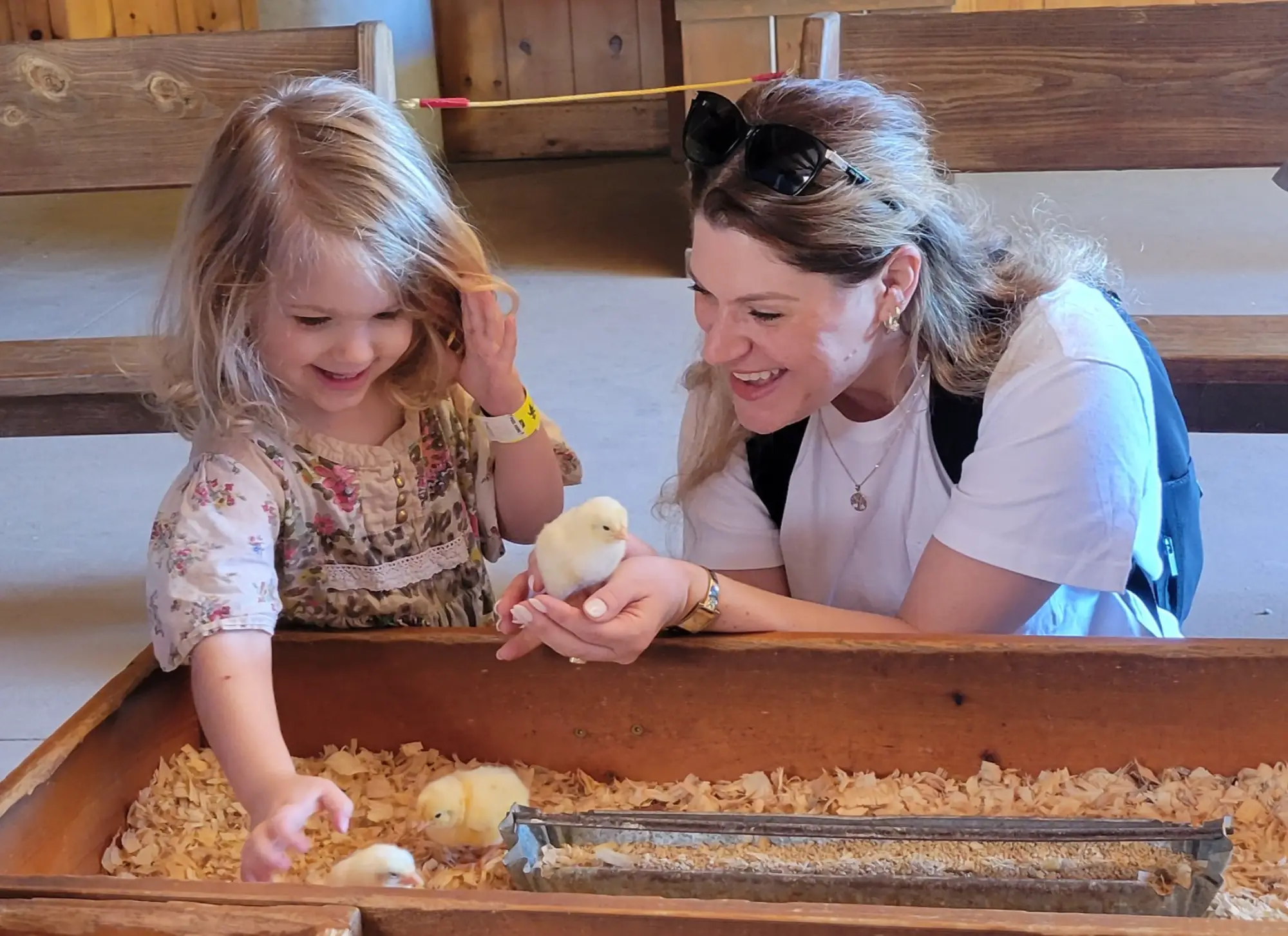 Family Farm Days 3